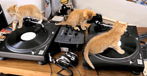 Meowmix 1